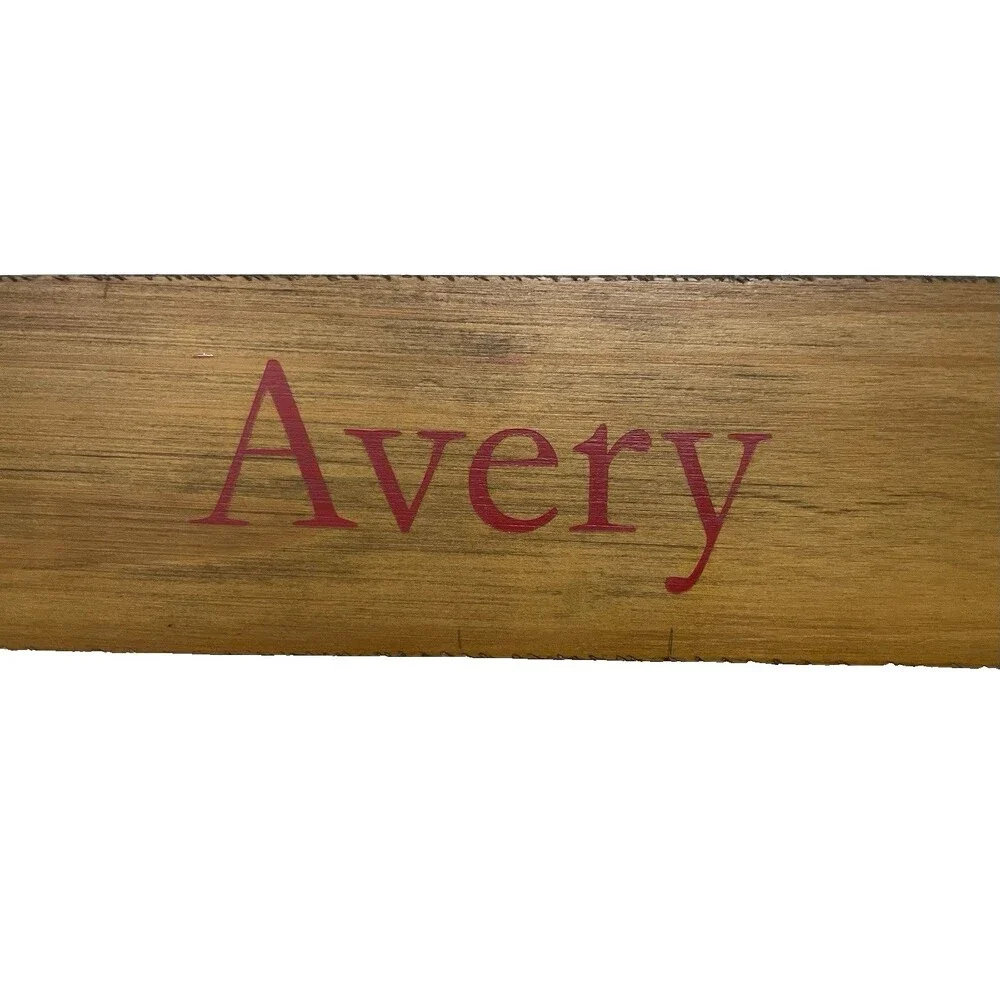 Pottery Barn Custom “AVERY” Ski Wall Mount Coat Hook Rack Ski Cabin Vibe